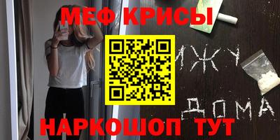 молекула духа Кингисепп