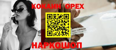 молекула духа Кингисепп