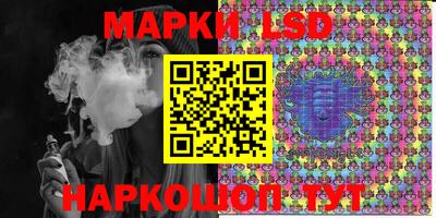 молекула духа Кингисепп