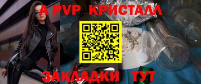 молекула духа Кингисепп