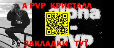 молекула духа Кингисепп