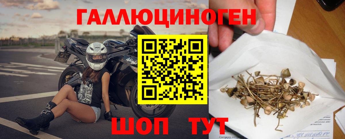 купить наркотики сайты  Псилоцибиновые грибы Psilocybe  Карпинск  Вход с VPN  Галлюциногенные грибы мицелий 